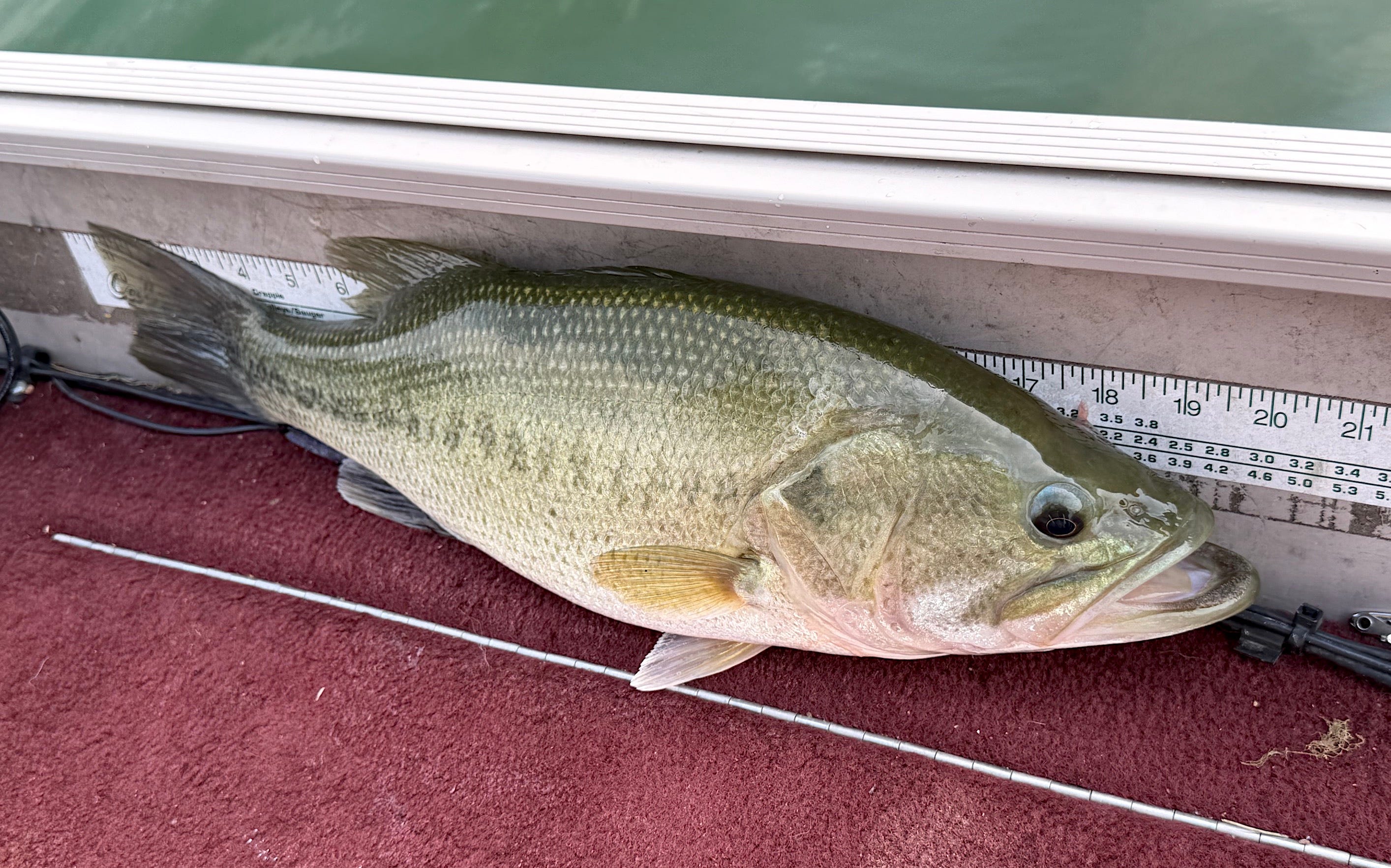 Smith: Even small, local lakes provide big fishing enjoyment - AOL