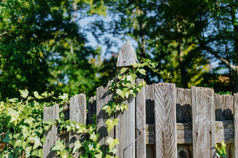 'I put up garden fence but entitled neighbour immediately demanded I move it'