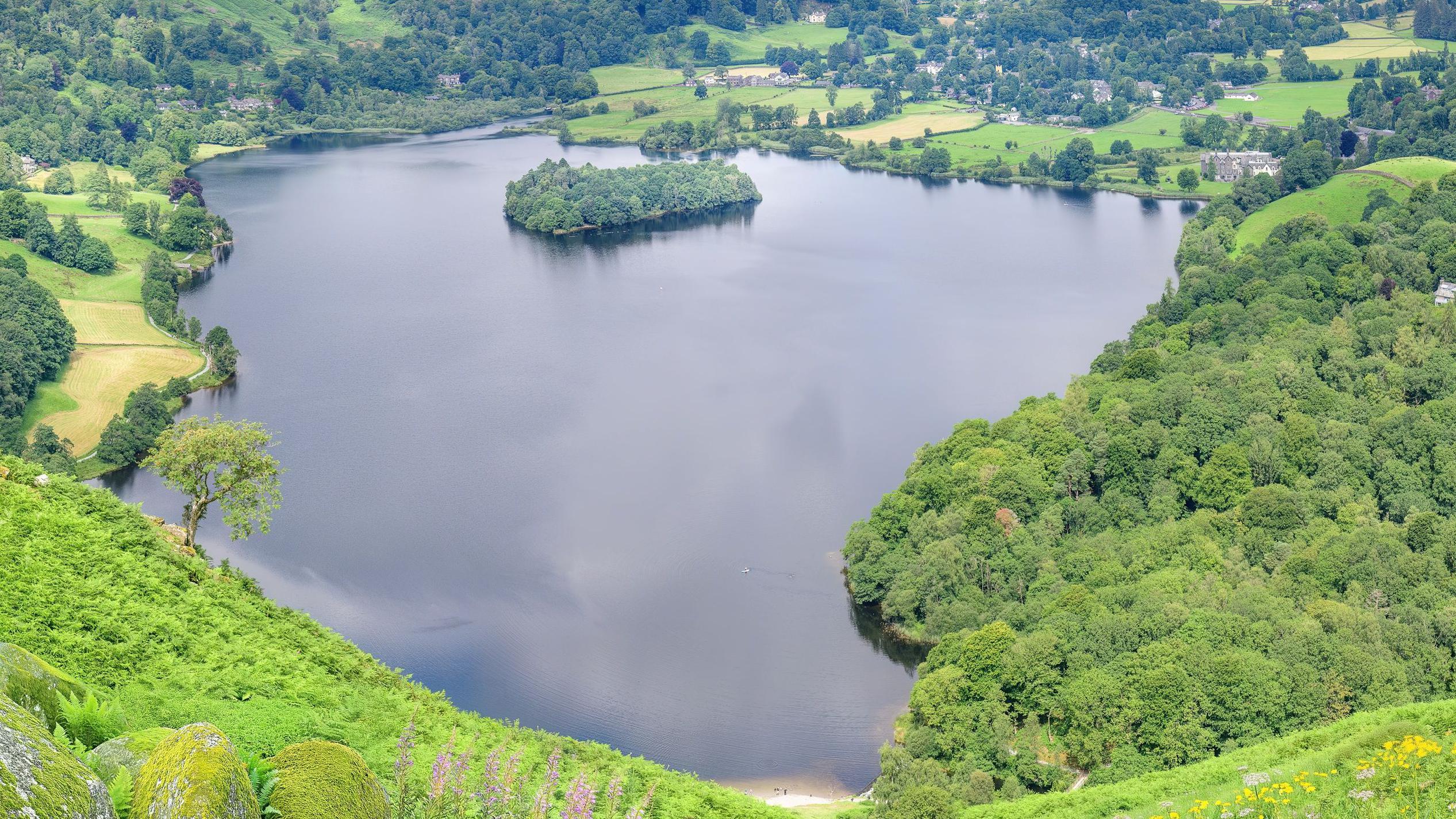 Young man dies after being rescued from lake