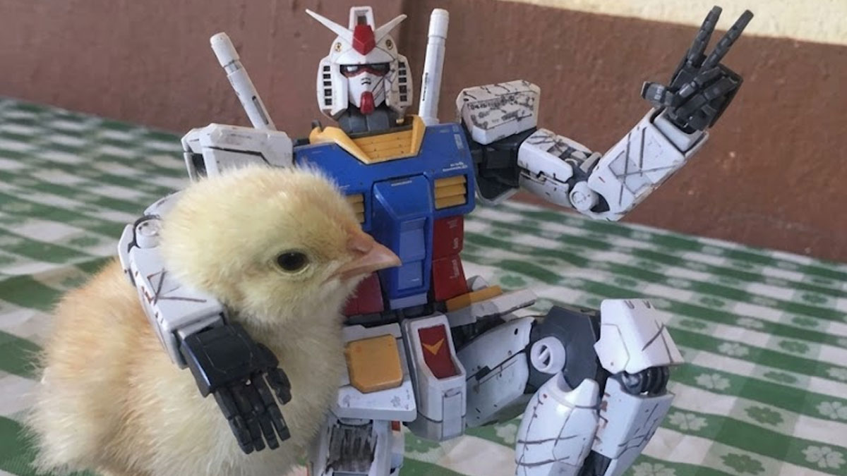 “Hmmm”: 66 Photos That We Definitely Cannot Explain But They’re Still ...