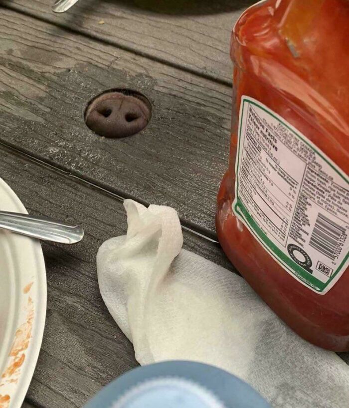 “Hmmm”: 66 Photos That We Definitely Cannot Explain But They’re Still ...