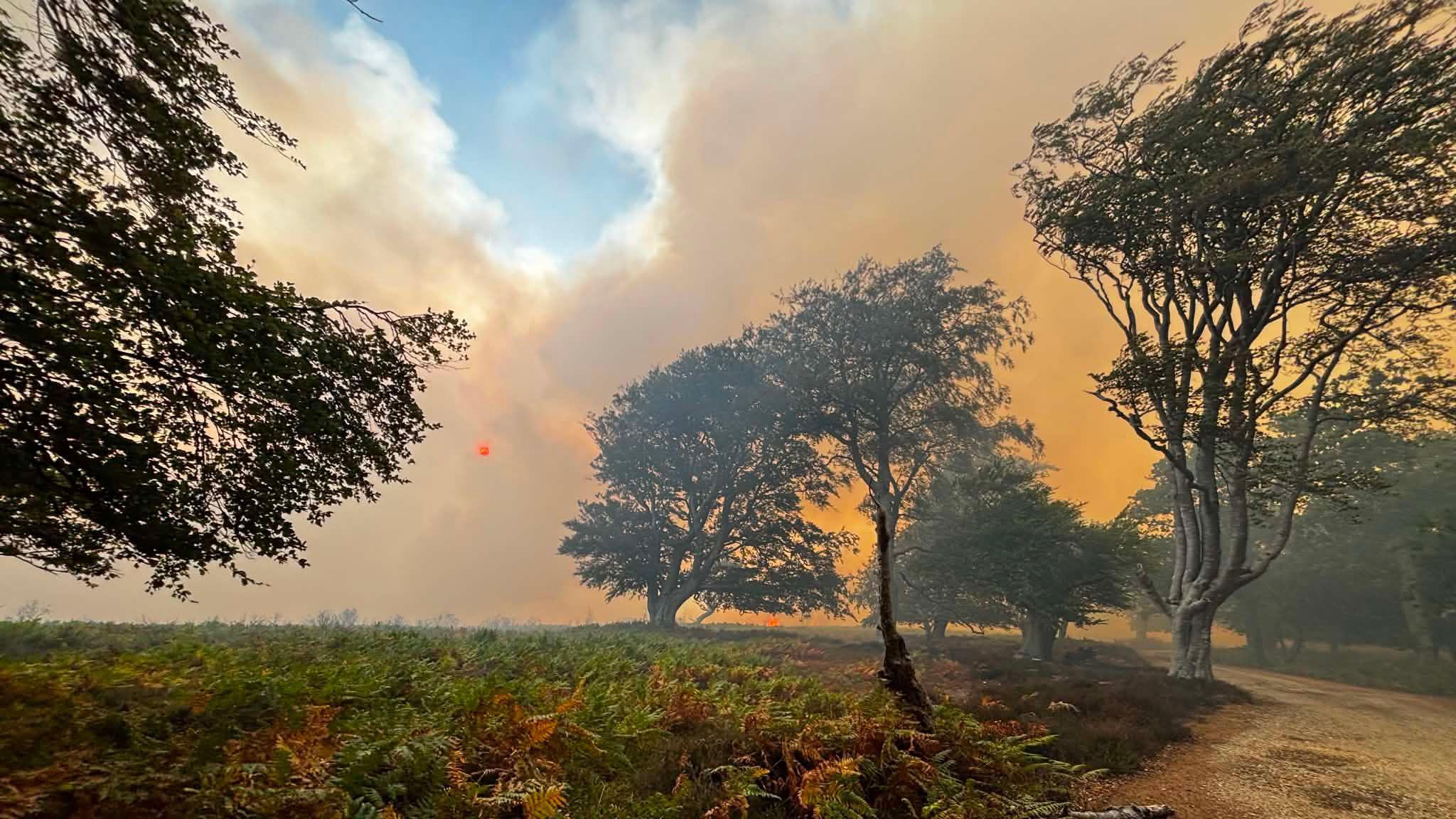 Crews tackle heathland fire that spread from lorry