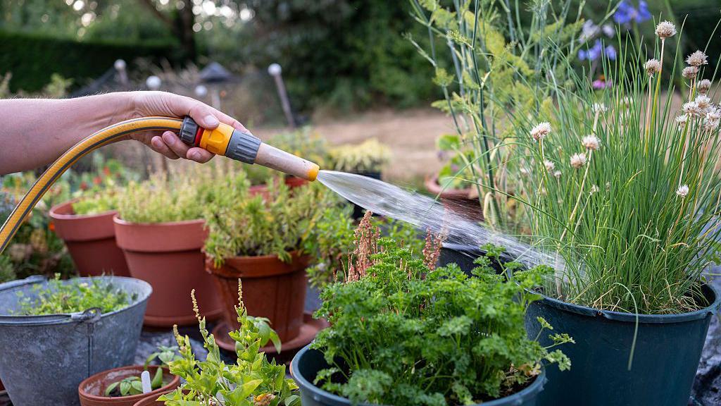 Your hosepipe ban questions answered