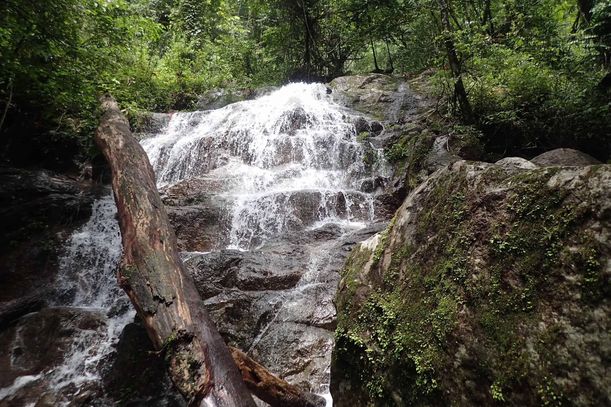 Afi Mountain Wildlife Sanctuary, Cross River State