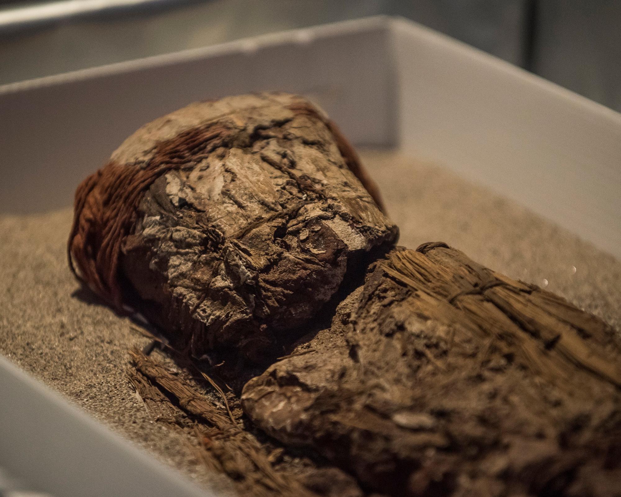 ‘Real mummy's curse': health warning over growing trade in mummified human remains