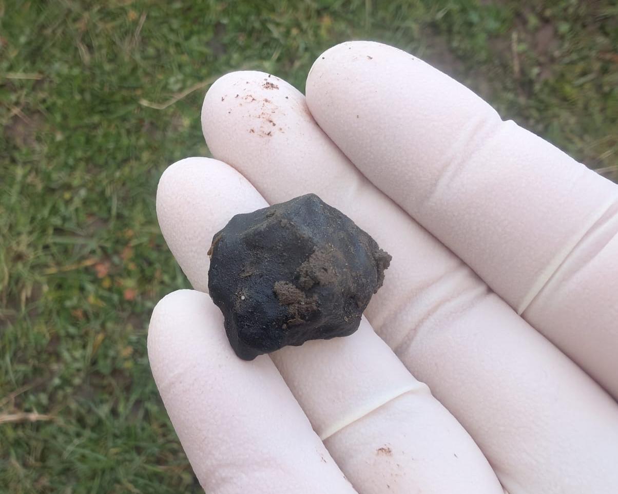 Flight paths and fridge magnets: how a fireball hunter tracked down New Zealand's newest meteorite