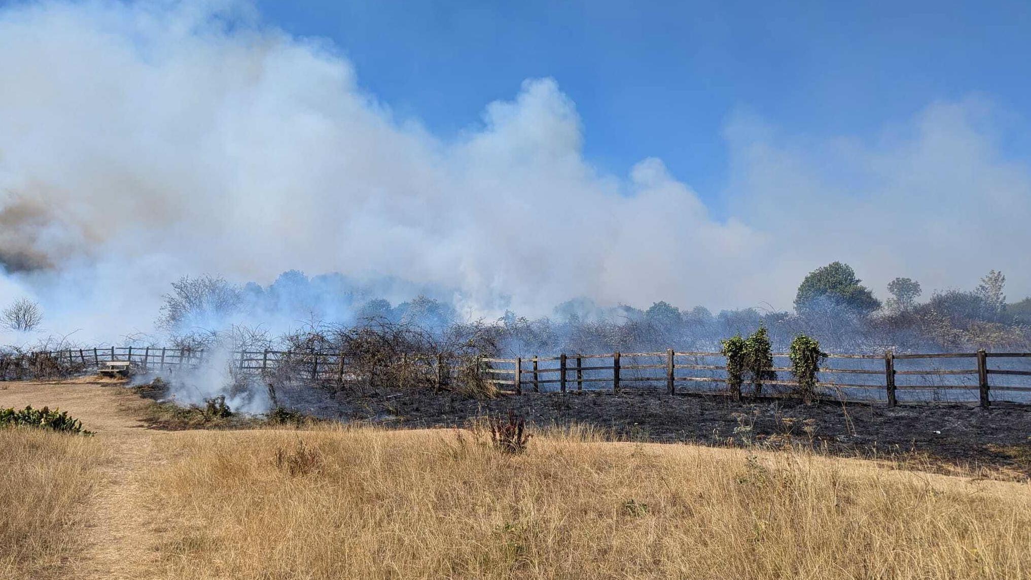 'Avoid area' warning as grassland fire tackled - AOL