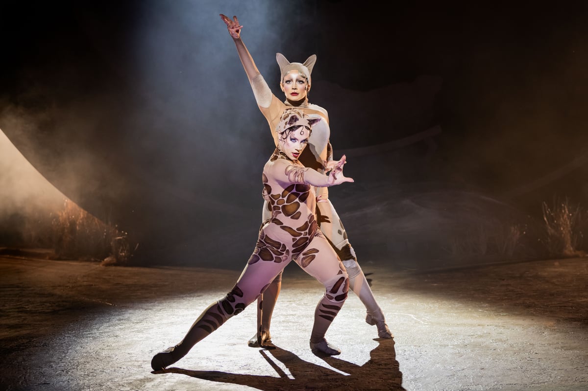 Cats at Regent's Park Open Air Theatre: Skilfully mounted but deeply, deeply silly