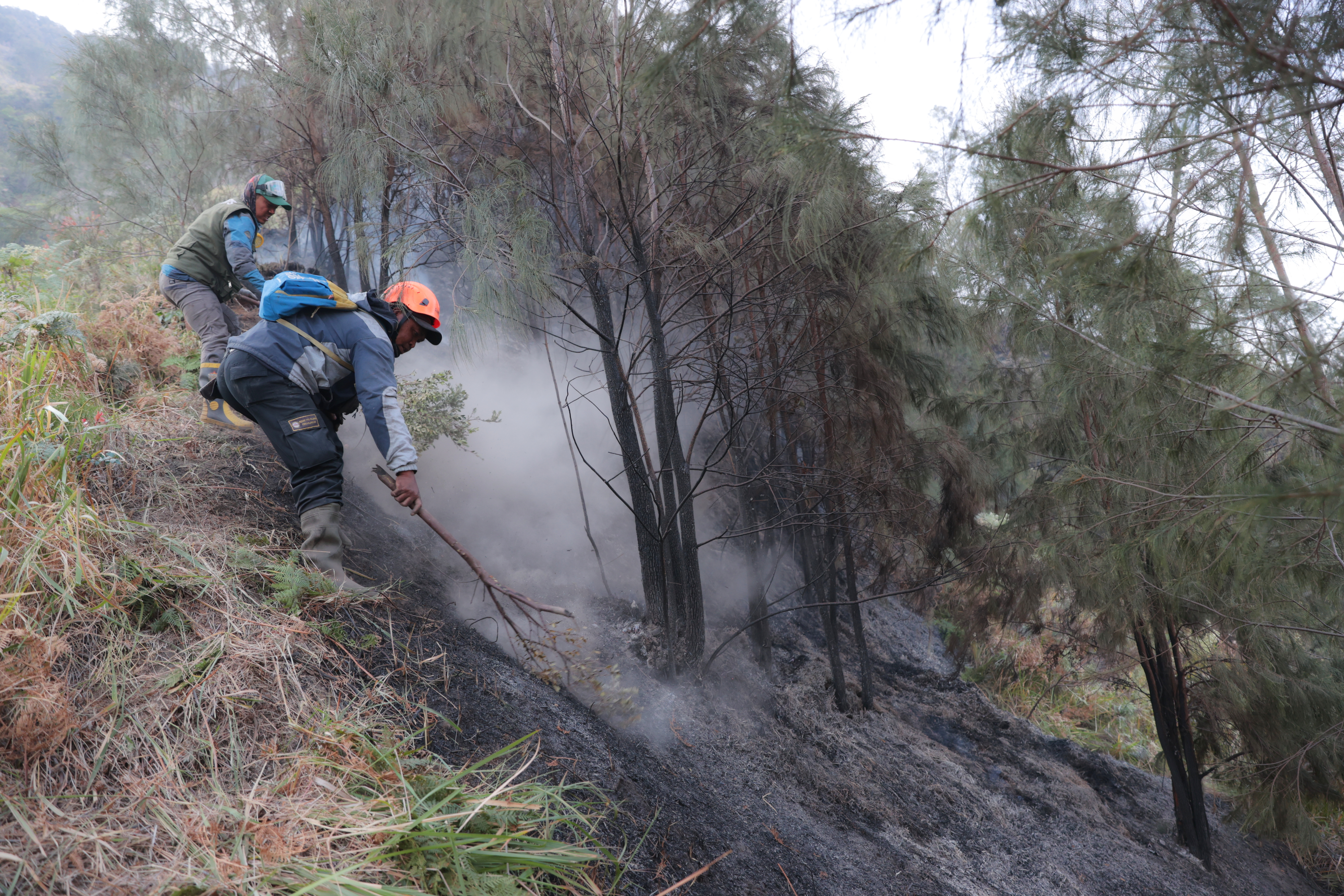 Indonesia battles wildfires amid intense dry season; Mount Bromo fire mostly contained as smoke forces school closures