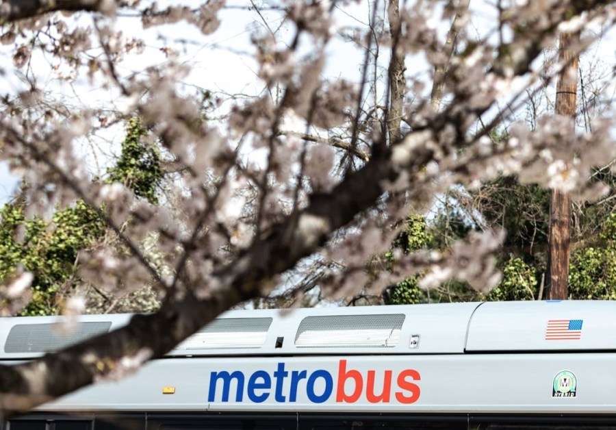 Metrobus operators’ union calls for end to fare quoting after driver assault