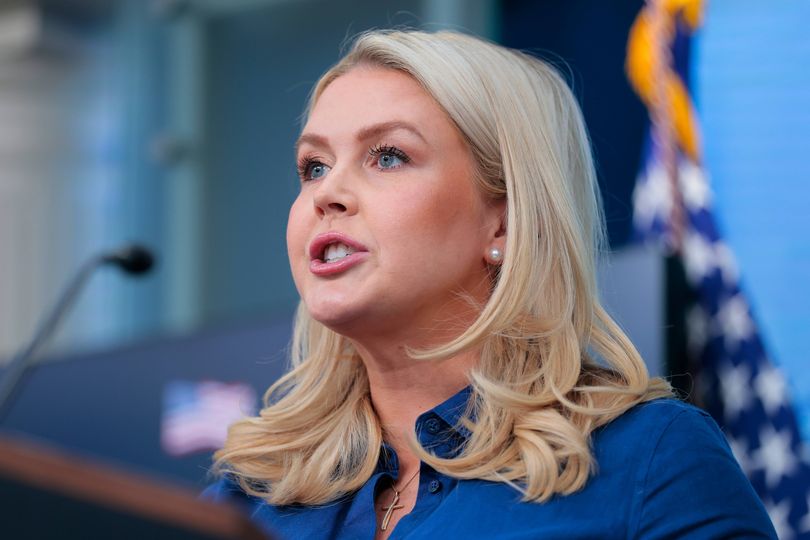 Karoline Leavitt's Donald Trump admission resurfaces after she steps down