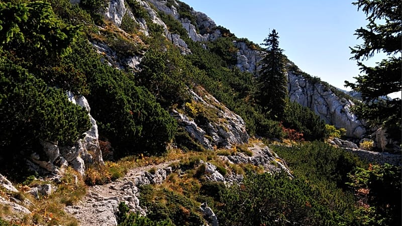 Winding trails and coastal treks: Three of Europe's best autumn hikes, according to Lonely Planet
