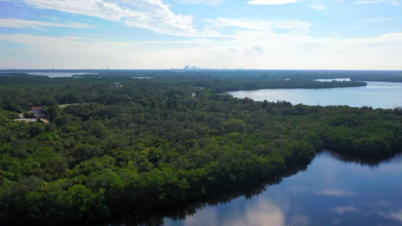 Pinellas County leaders consider funding cuts for Weedon Island, Shell ...