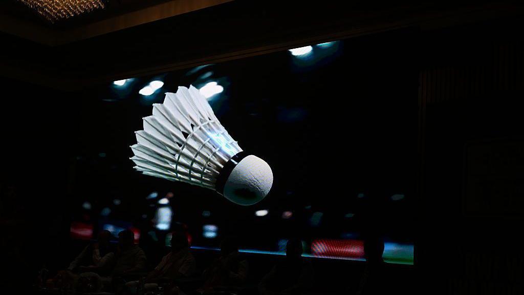 Delhi's unusual challenge: Keeping monkeys and pigeons away from global badminton event