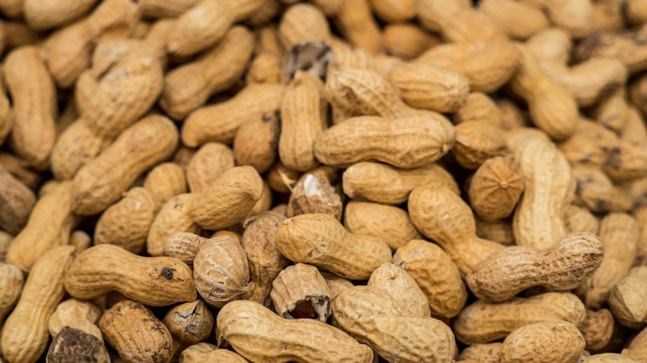 Can Poop Pills Cure Peanut Allergies?