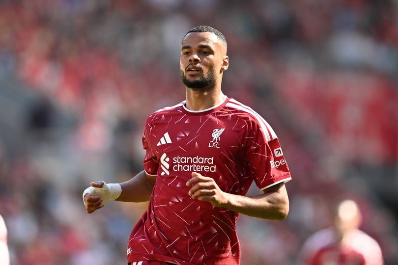 Tottenham ‘strike Cody Gakpo agreement' as Liverpool prepare Bradley Barcola bid