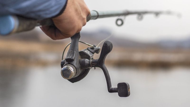 jansport backpack all gray Big Day Graphite Grey If you have any Color:NAS4000XGFD Fishing Rod Whiting Combo SORT