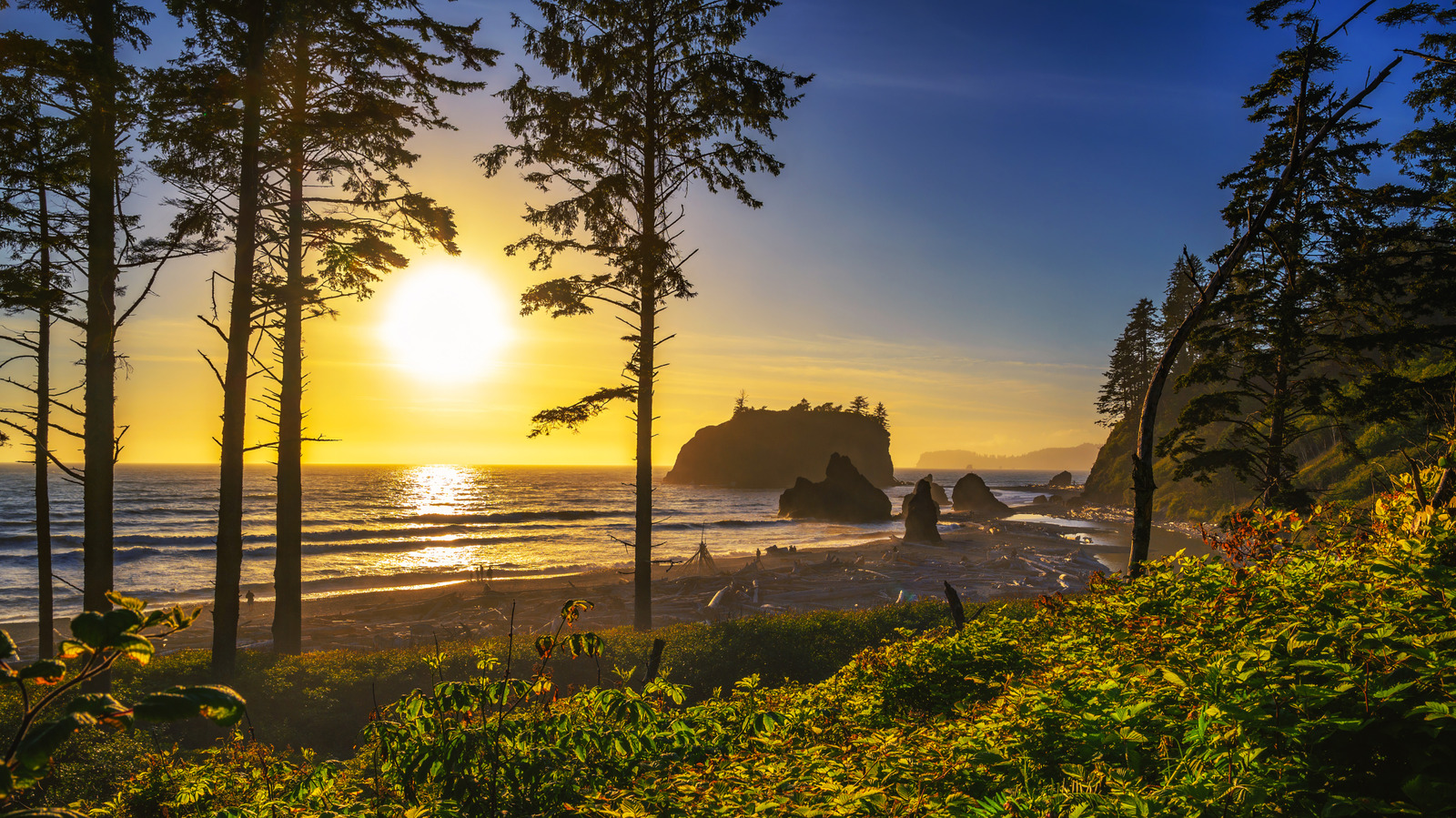 The Olympic Peninsula's Only Major Route Offers A Washington Road Trip With World-Renowned Stops And Views - AOL