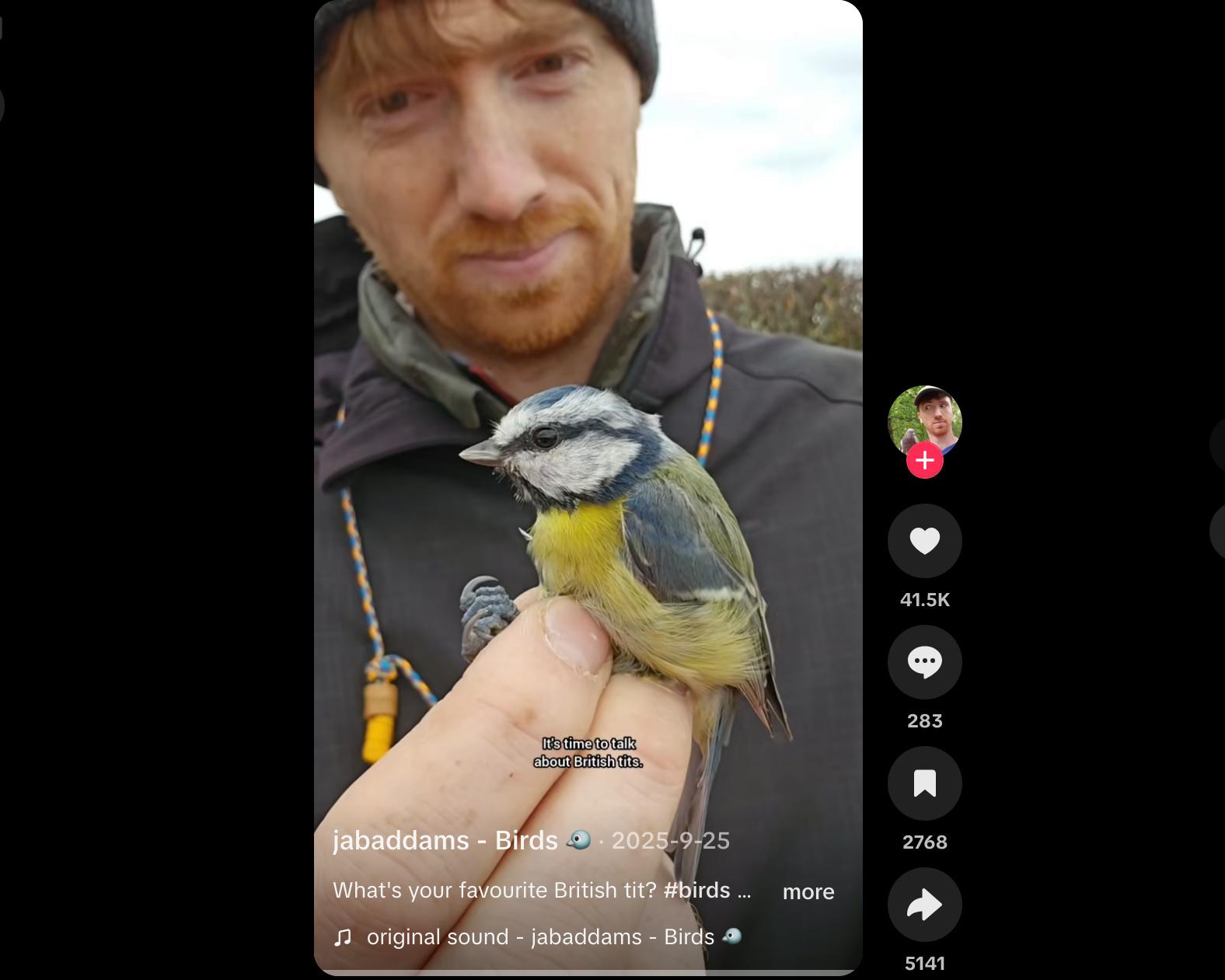 Gen Z flocks to BirdTok as birding takes flight: ‘It's a craving for something real'