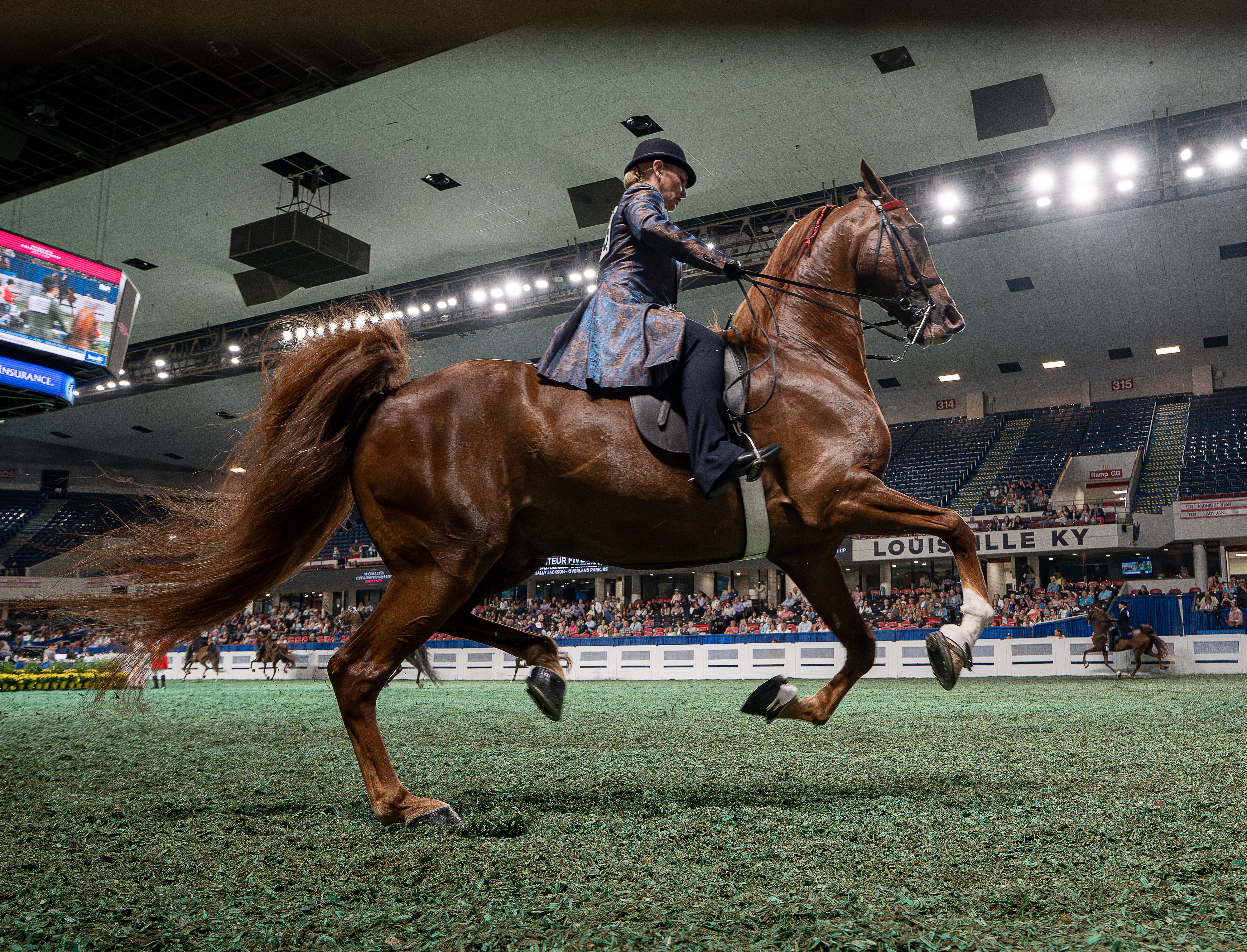 Here s Your Guide To The 2026 World s Championship Horse Show AOL Here s Your Guide To The 2026 World s Championship Horse Show AOL