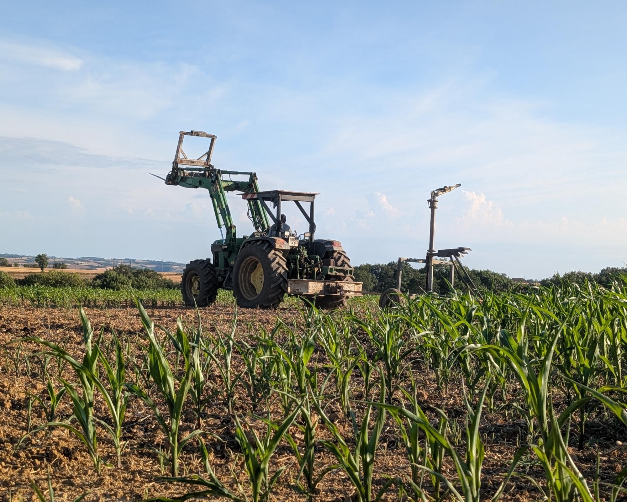 European farmers face ‘unprecedented crisis' after successive heatwaves
