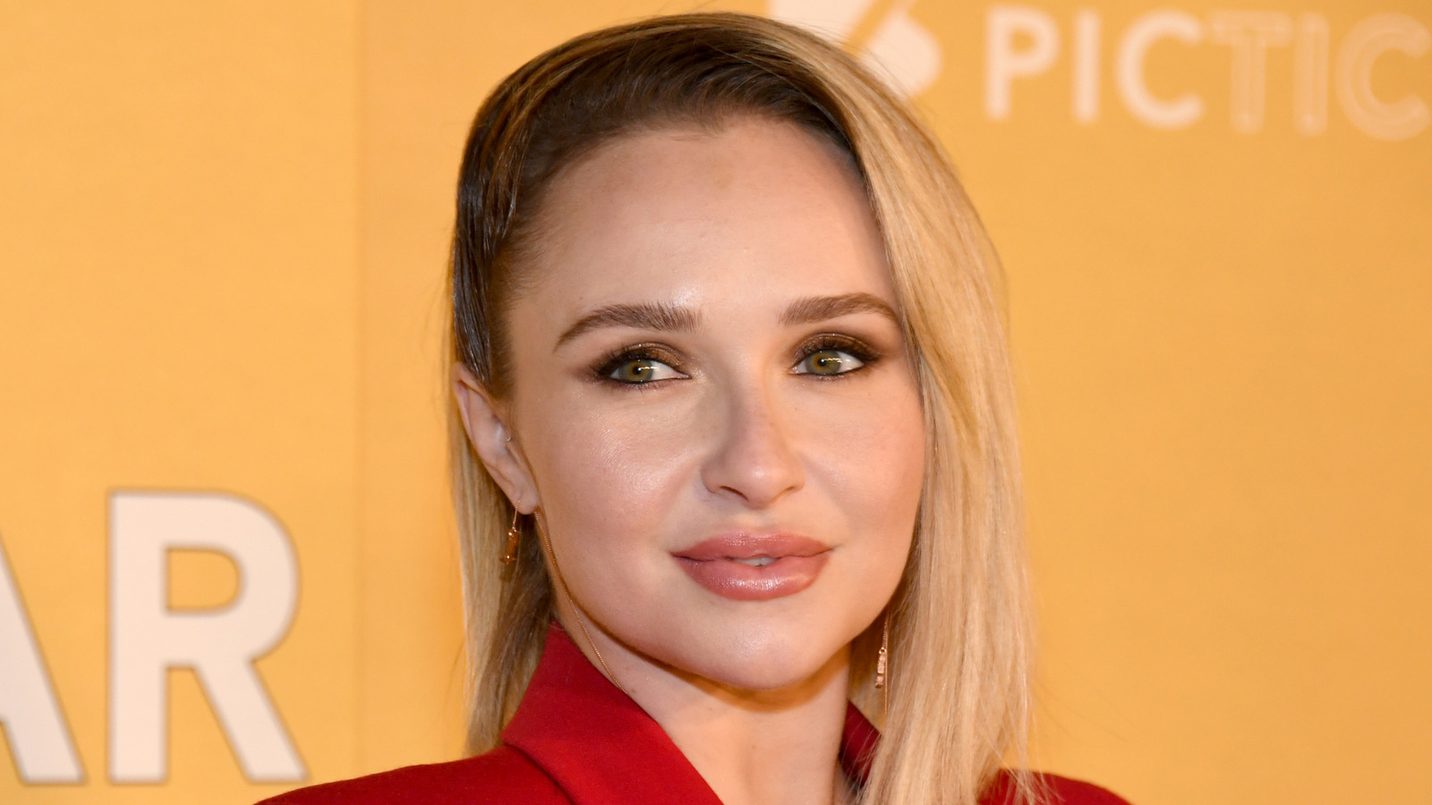 Hayden Panettiere's Final Instagram Post Is Truly Heartbreaking - AOL