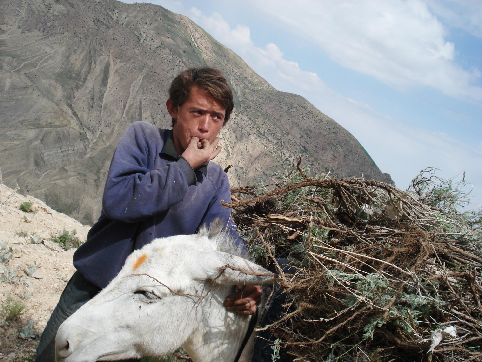 25 Years in Afghanistan review – the extraordinary life of an optimist