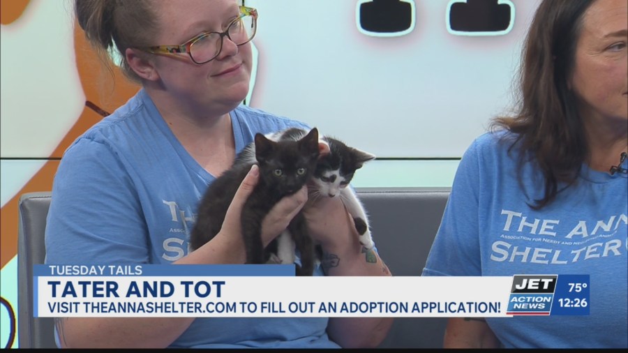 Tuesday Tails: Tater and Tot & Patrick and Porter