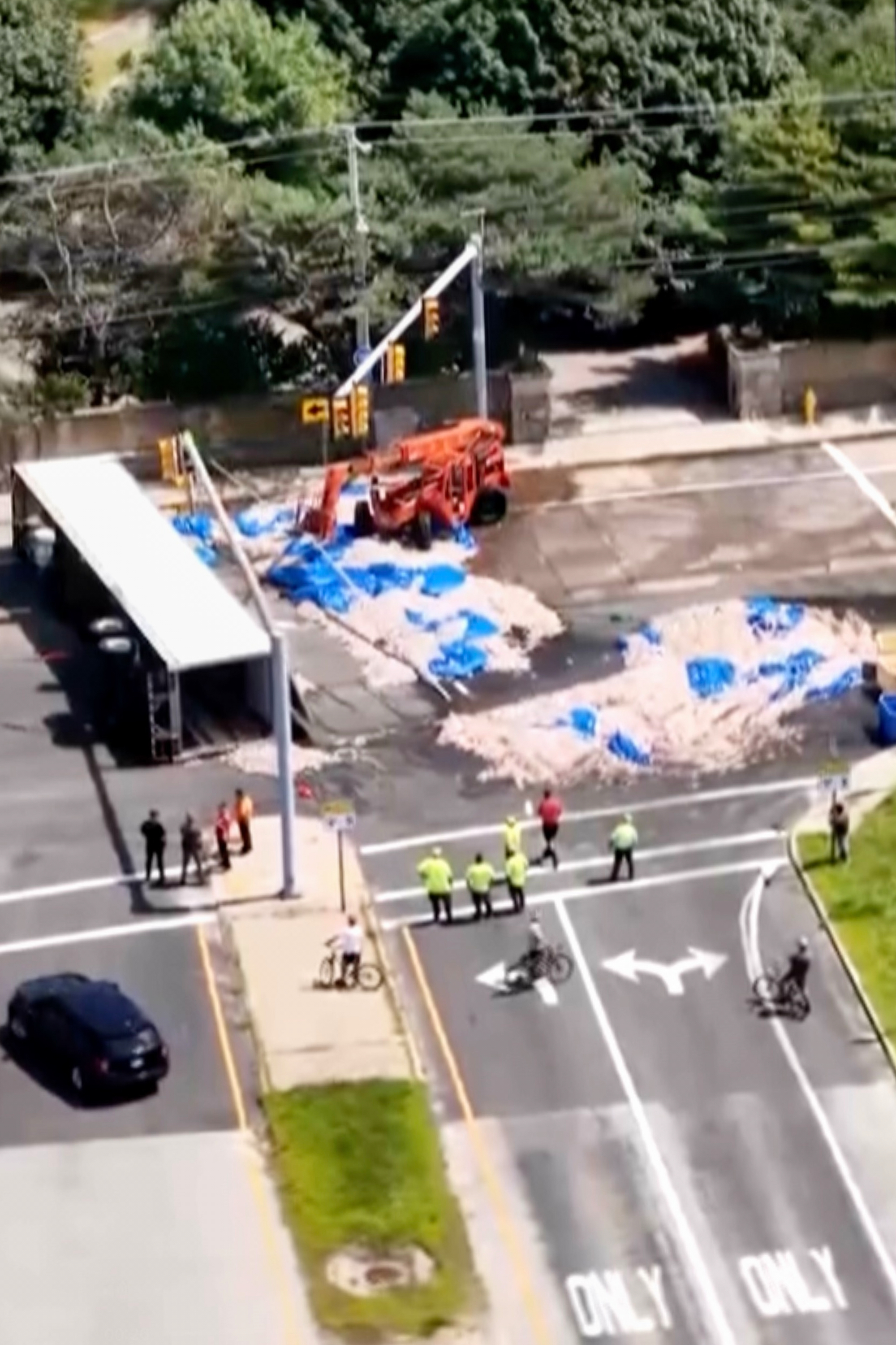 Truckload of squid spills into the street in Rhode Island, creating a smelly mess in the summer heat - AOL