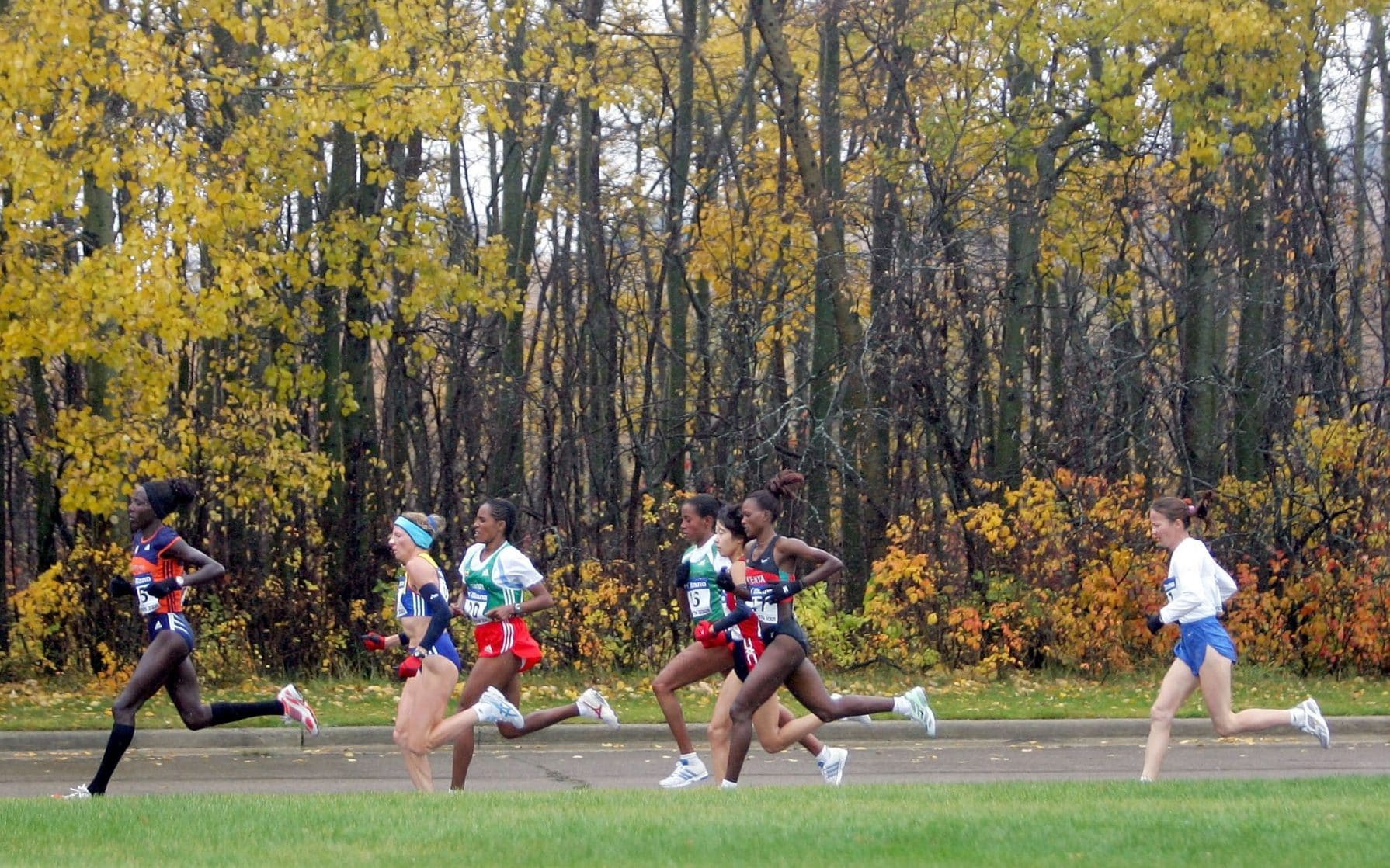 Marathon organisers admit course was 674m too long