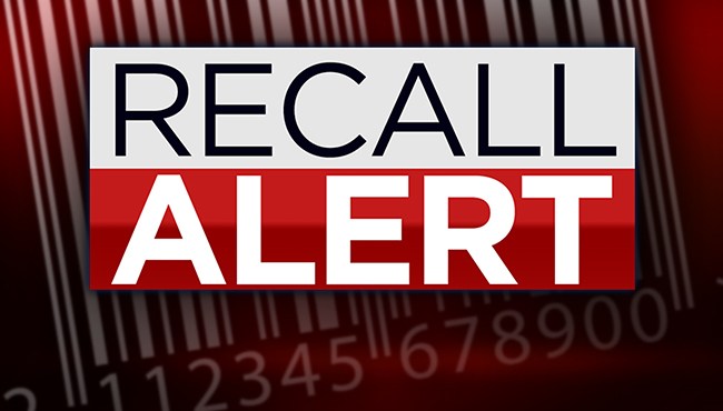 Nearly 50,000 power stations recalled for fire and burn hazards