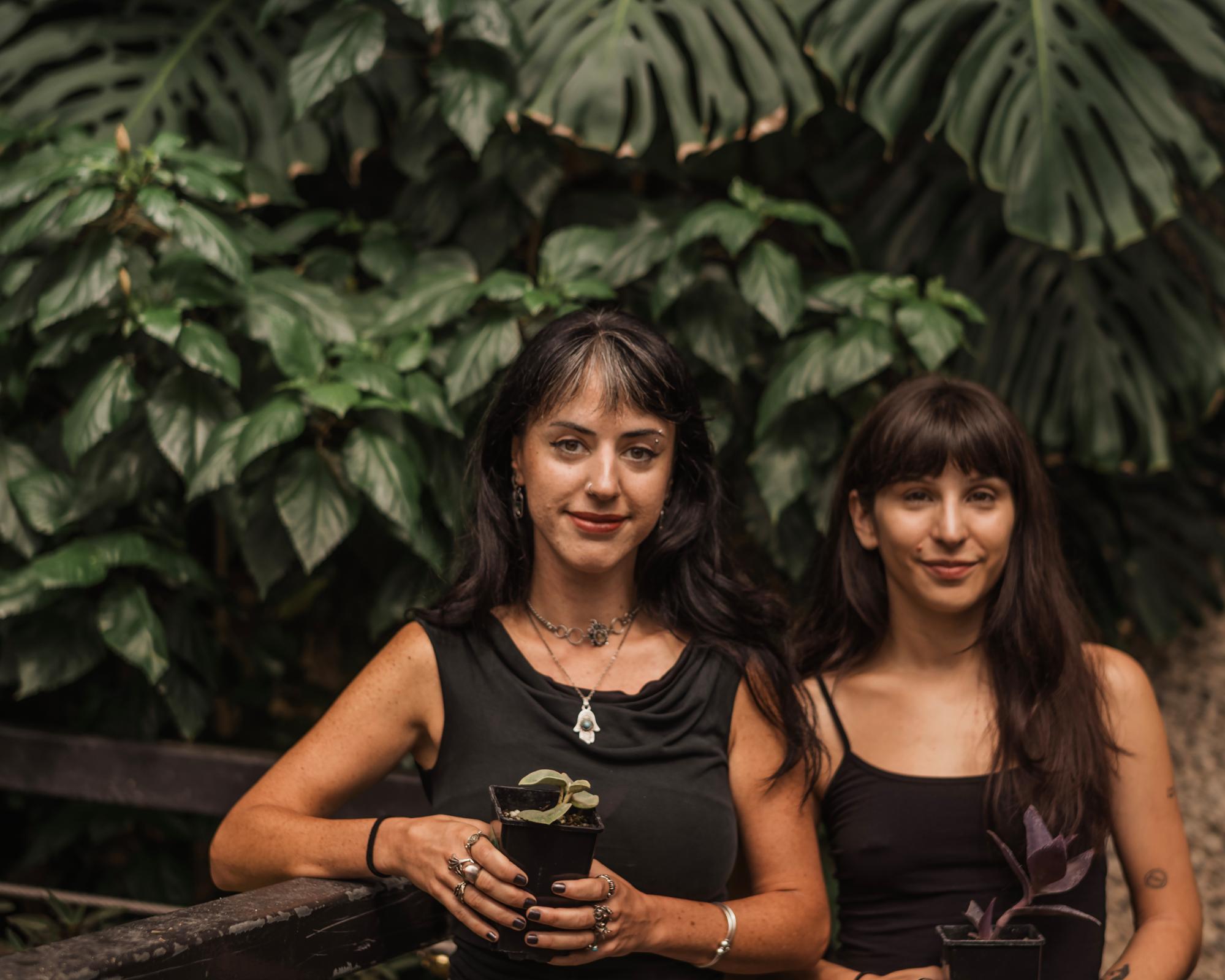 Monstera magic: Barbican hands out cuttings as ‘green lung of the city' closes