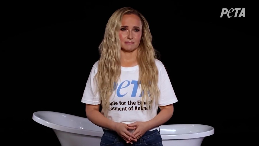 PETA releases Hayden Panattiere campaign filmed weeks before death, praises actress for dolphin activism