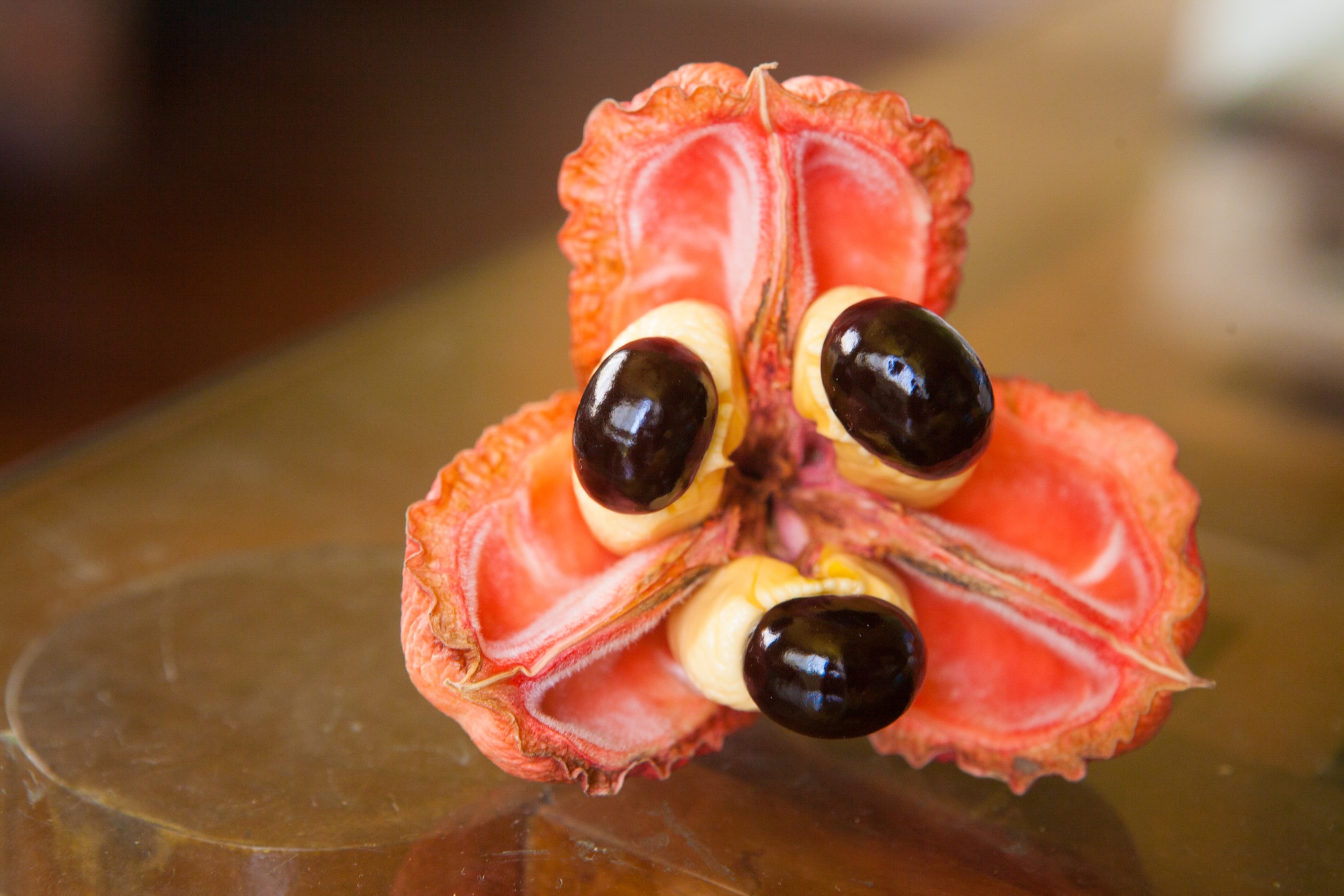 10 international foods that are banned in the United States