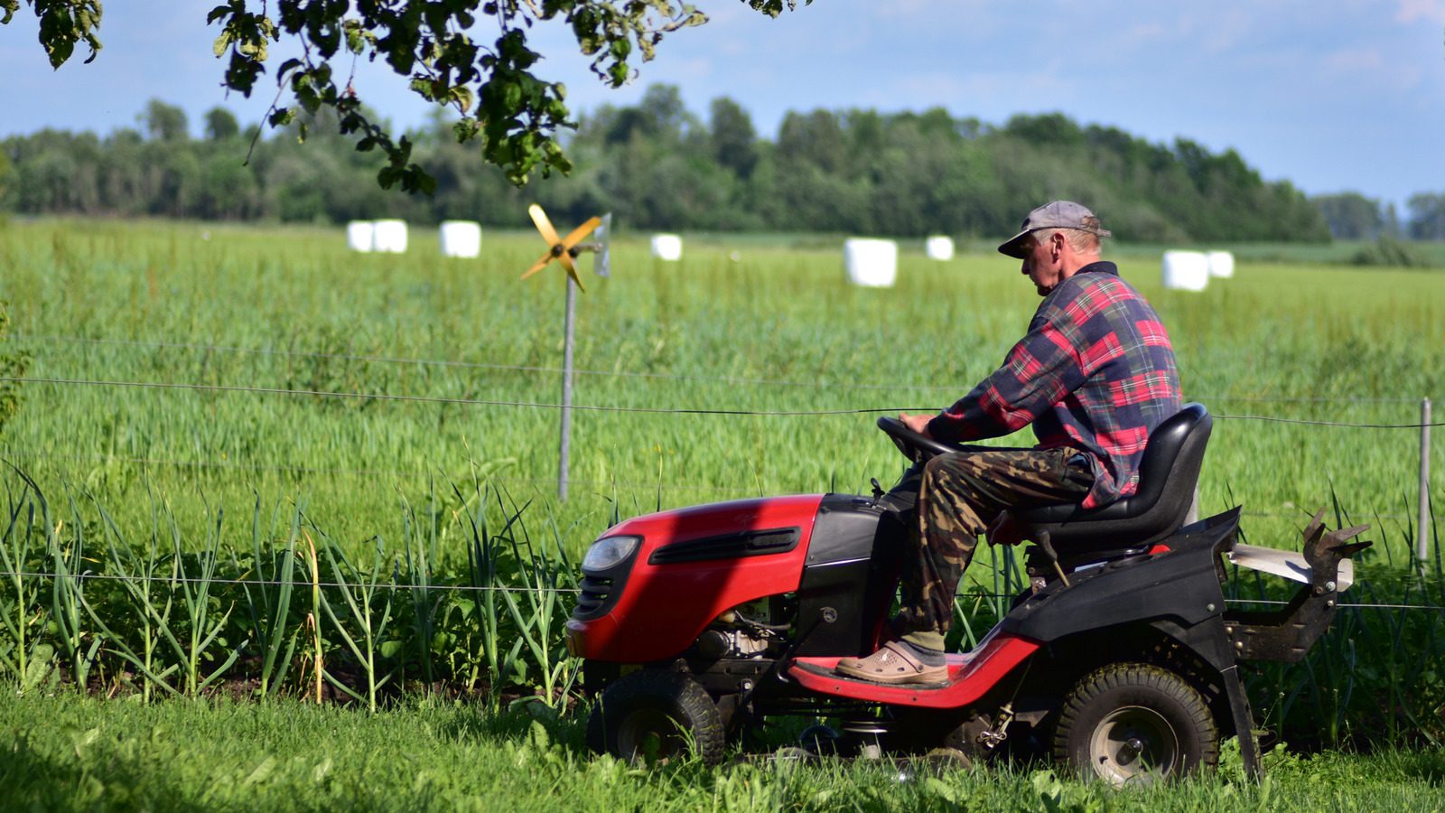 Most Favorite This Is The Most Popular Lawn Mower Brand In The USA (And Why Everyone ...