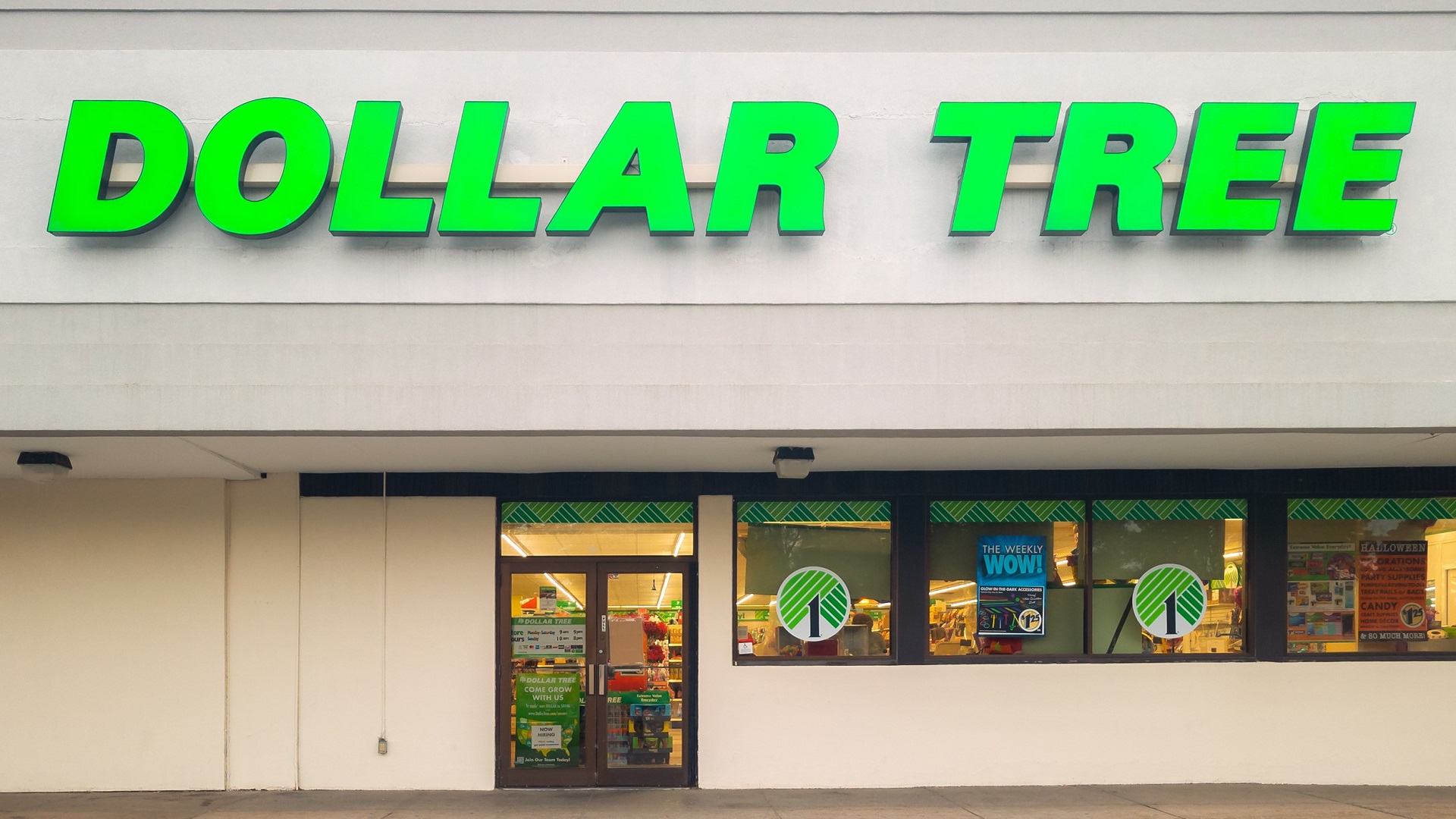 This $20 Home Decor Haul From Dollar Tree Could Be From Pottery Barn