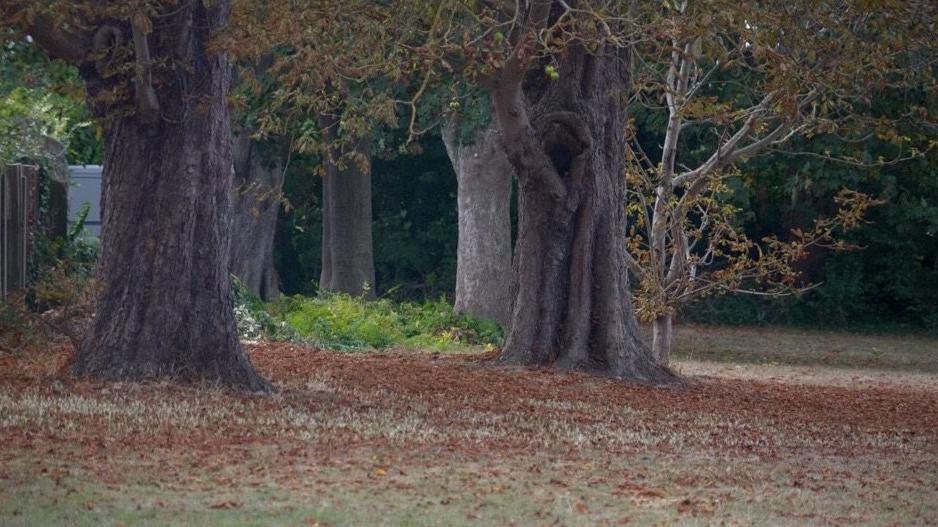 Residents fear for 'last piece of green space'