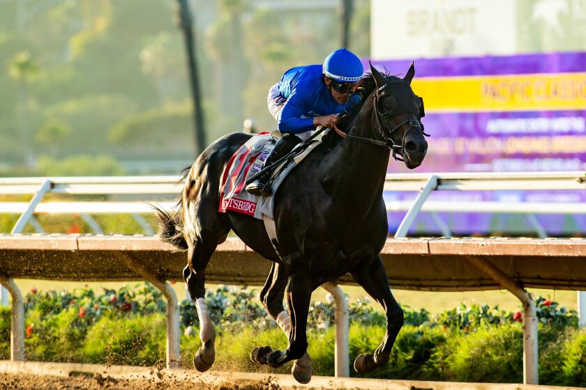 Knightsbridge earns Breeders' Cup berth with Del Mar Pacific Classic win - AOL