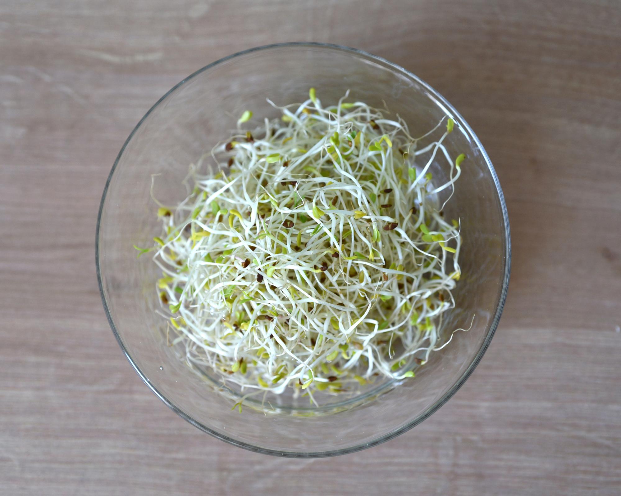 Alfalfa Sprouts Linked to 15-State Food Poisoning Outbreak