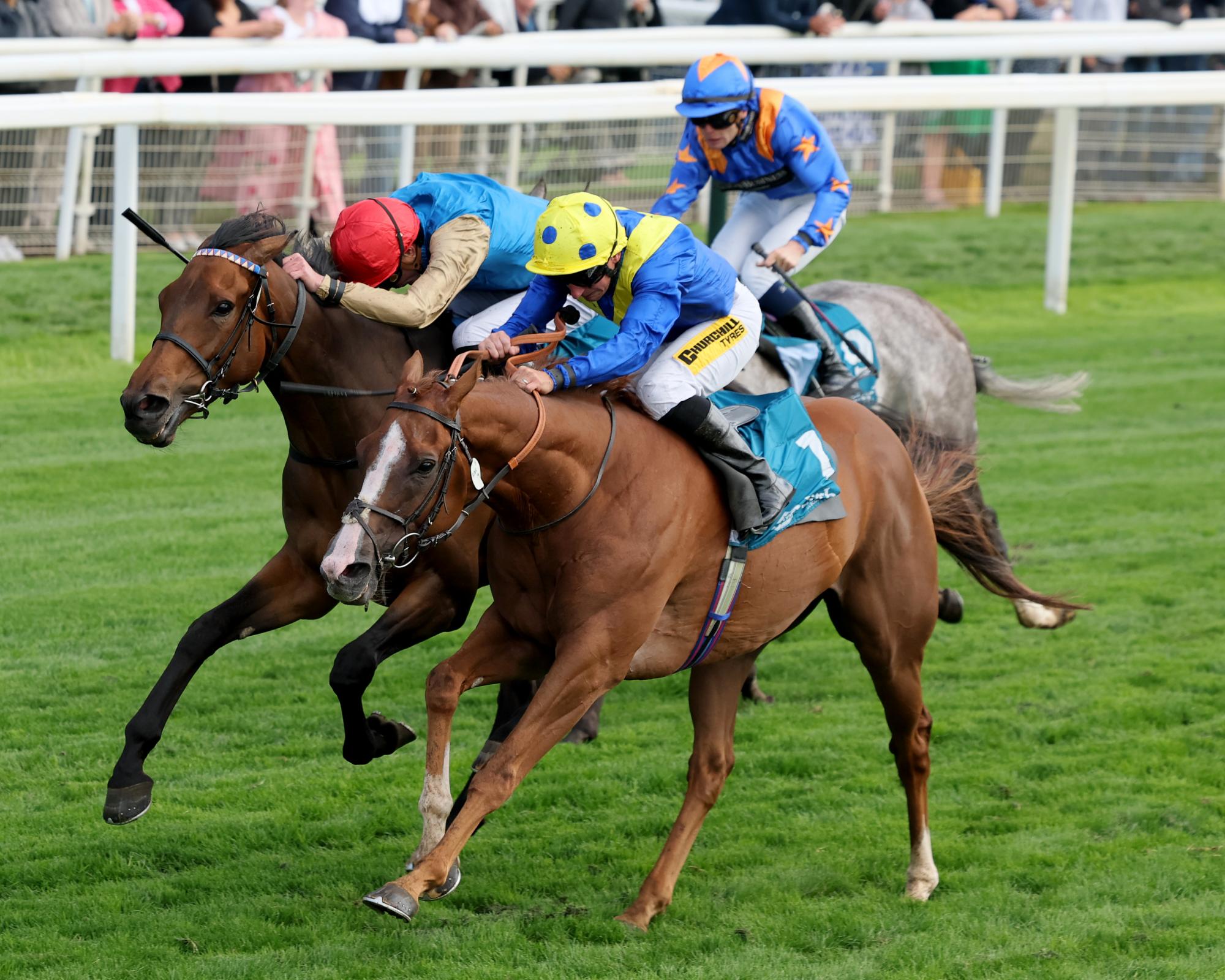 Andrew Balding making serious tilt at prestigious British Flat trainers' crown