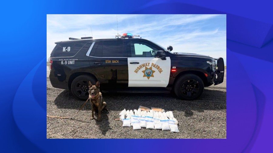 K9 sniffs out 45 pounds of meth on California highway, CHP says