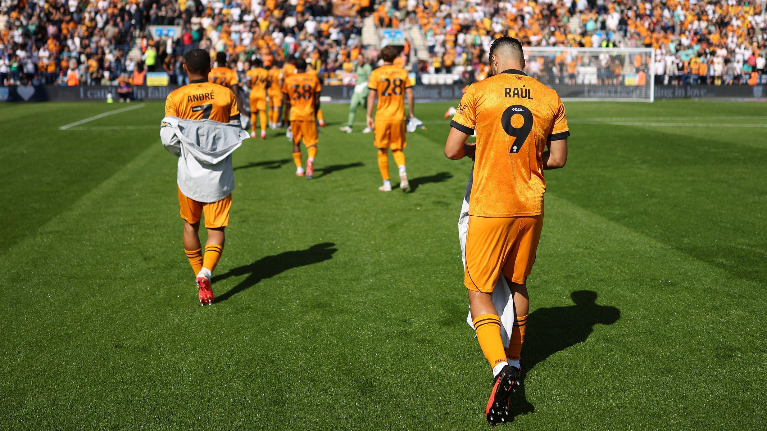 New Photo - Wolves growing but confidence remains fragile
