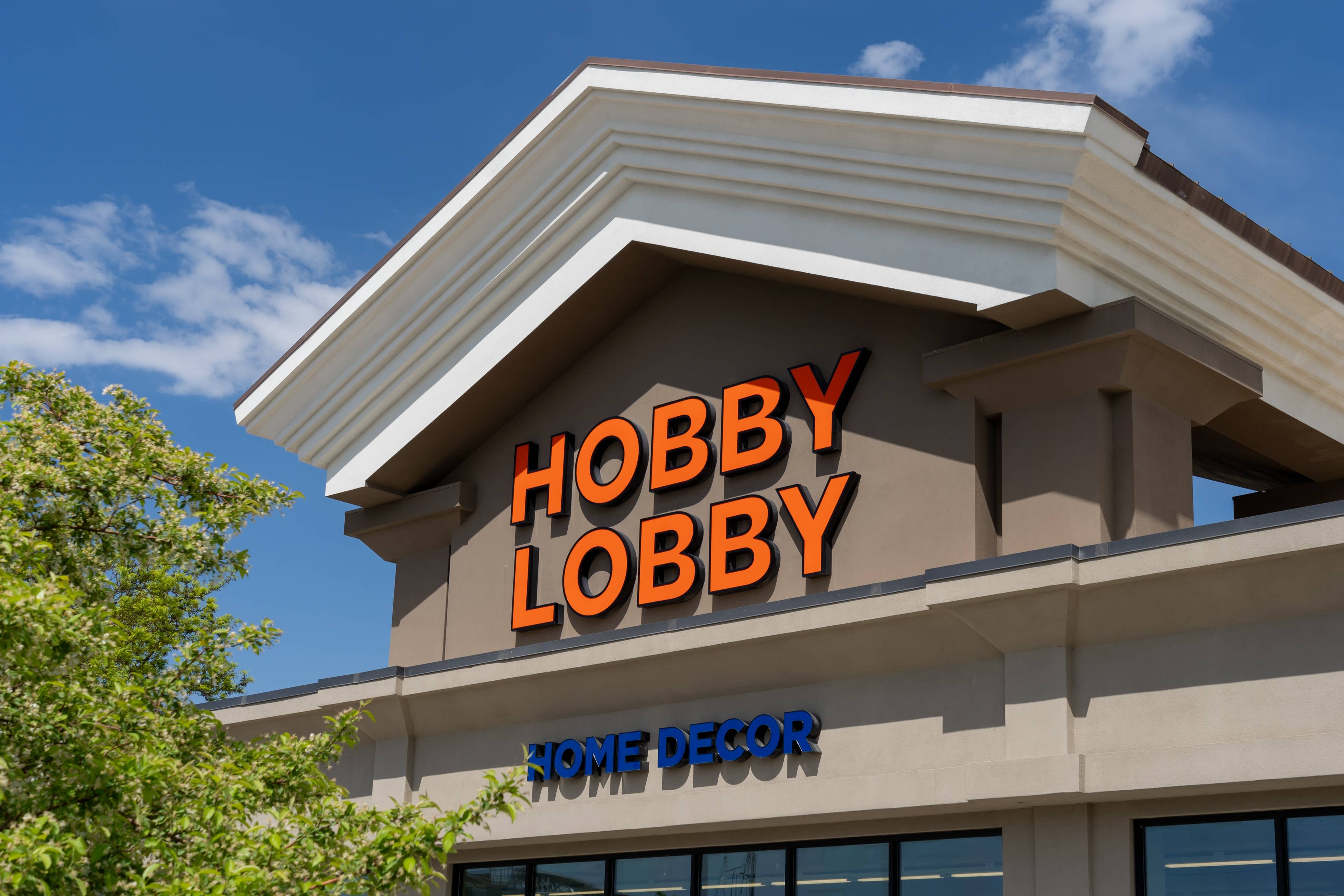 Hobby Lobby's $22 Boho Pet Basket Brings Stylish Storage to Any Room