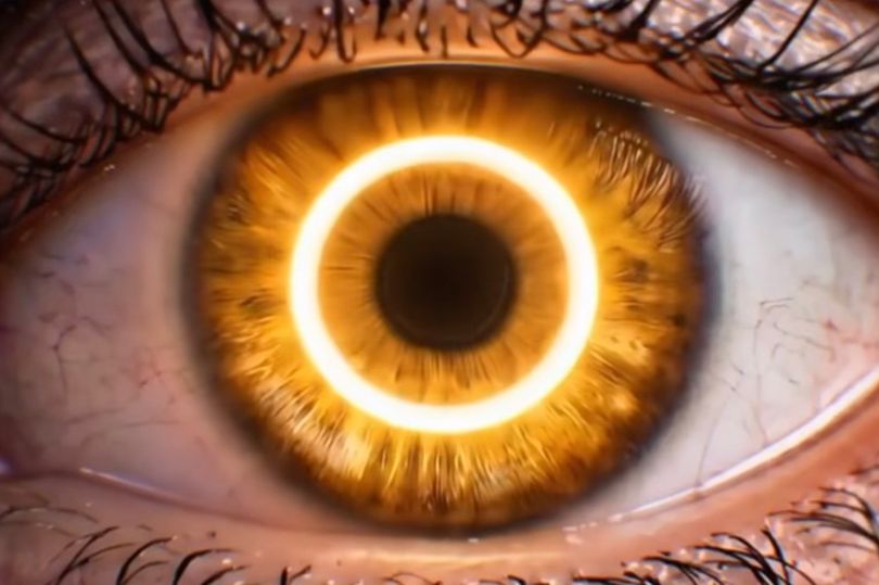 Big Brother's Exciting New Twist Promises an Unforgettable Season