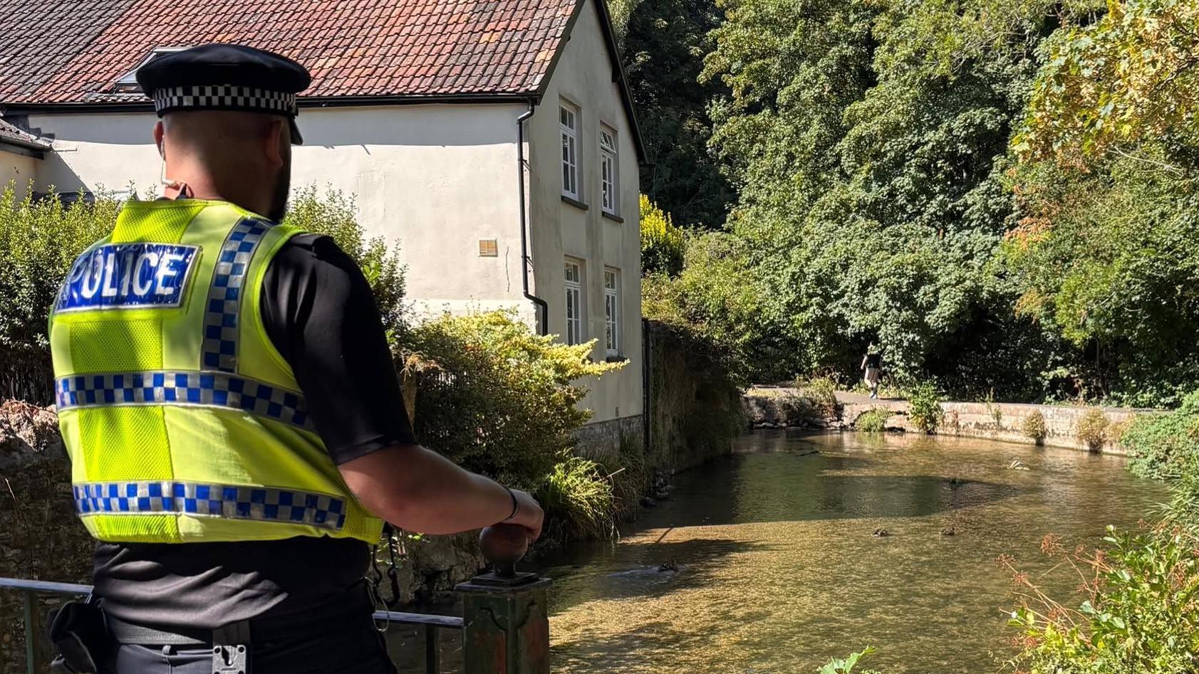 Duck patrol plea after 'mindless' catapult attacks - AOL