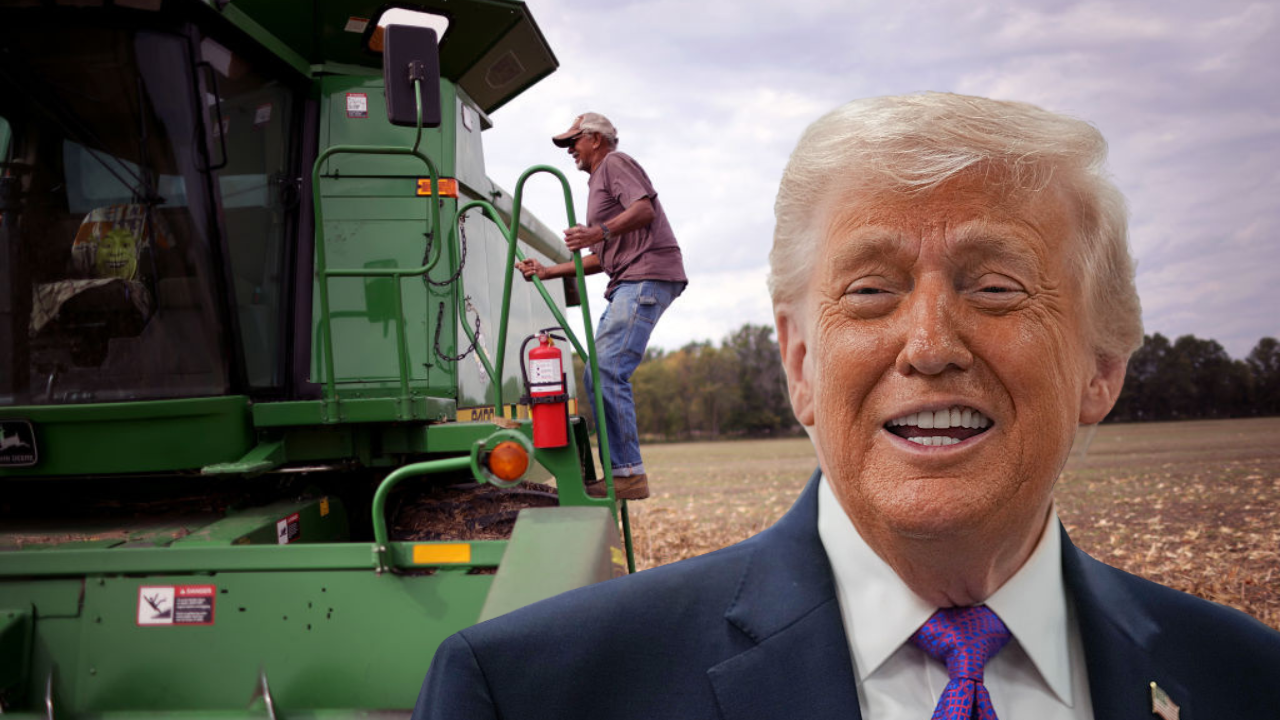 Trump says foreign beef will lower prices. Black farmers warn they'll pay the price