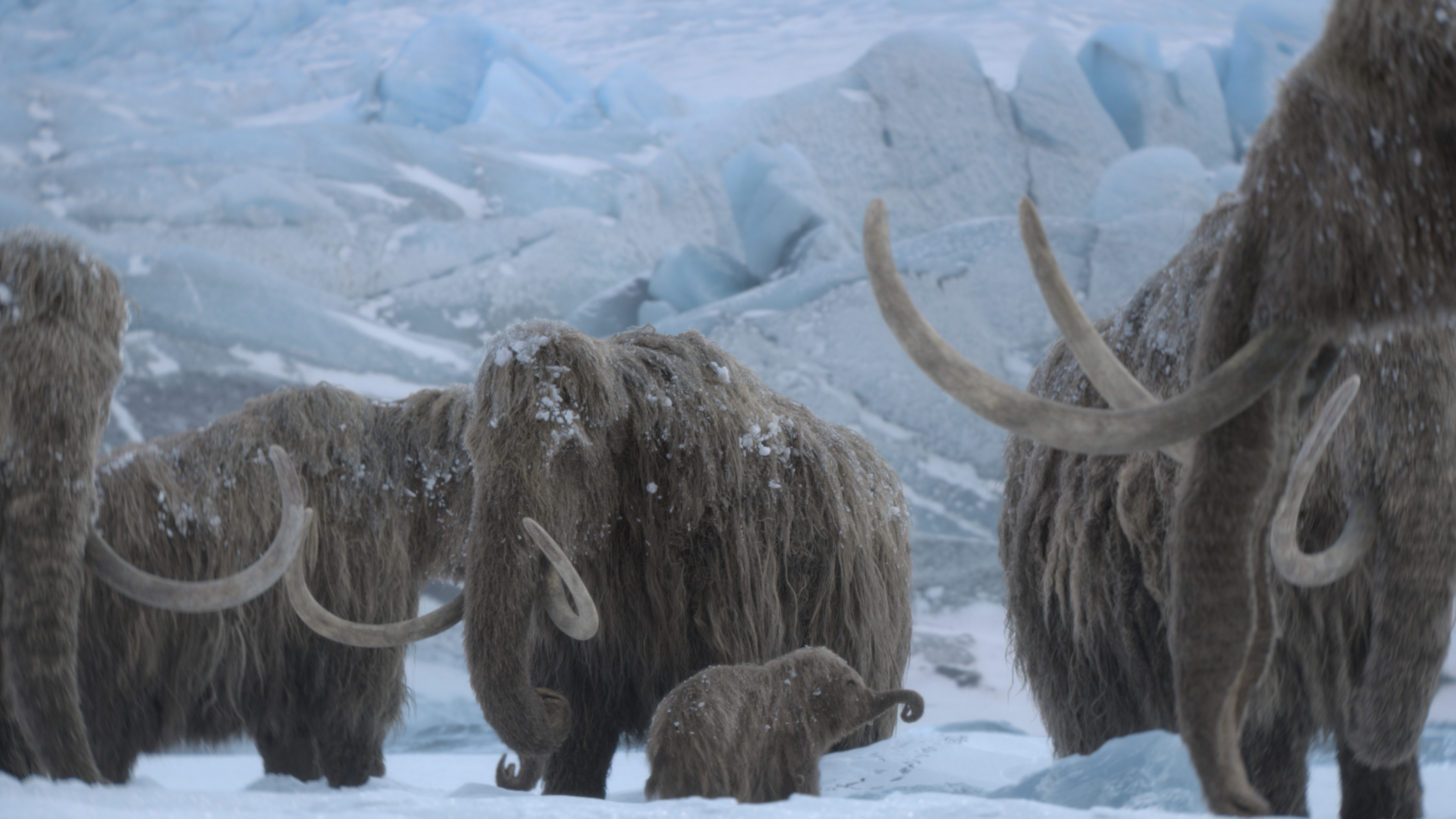 'Prehistoric Planet: Ice Age': Hans Zimmer, Kara Talve and Anže Rozman crafted a score unlike any other series