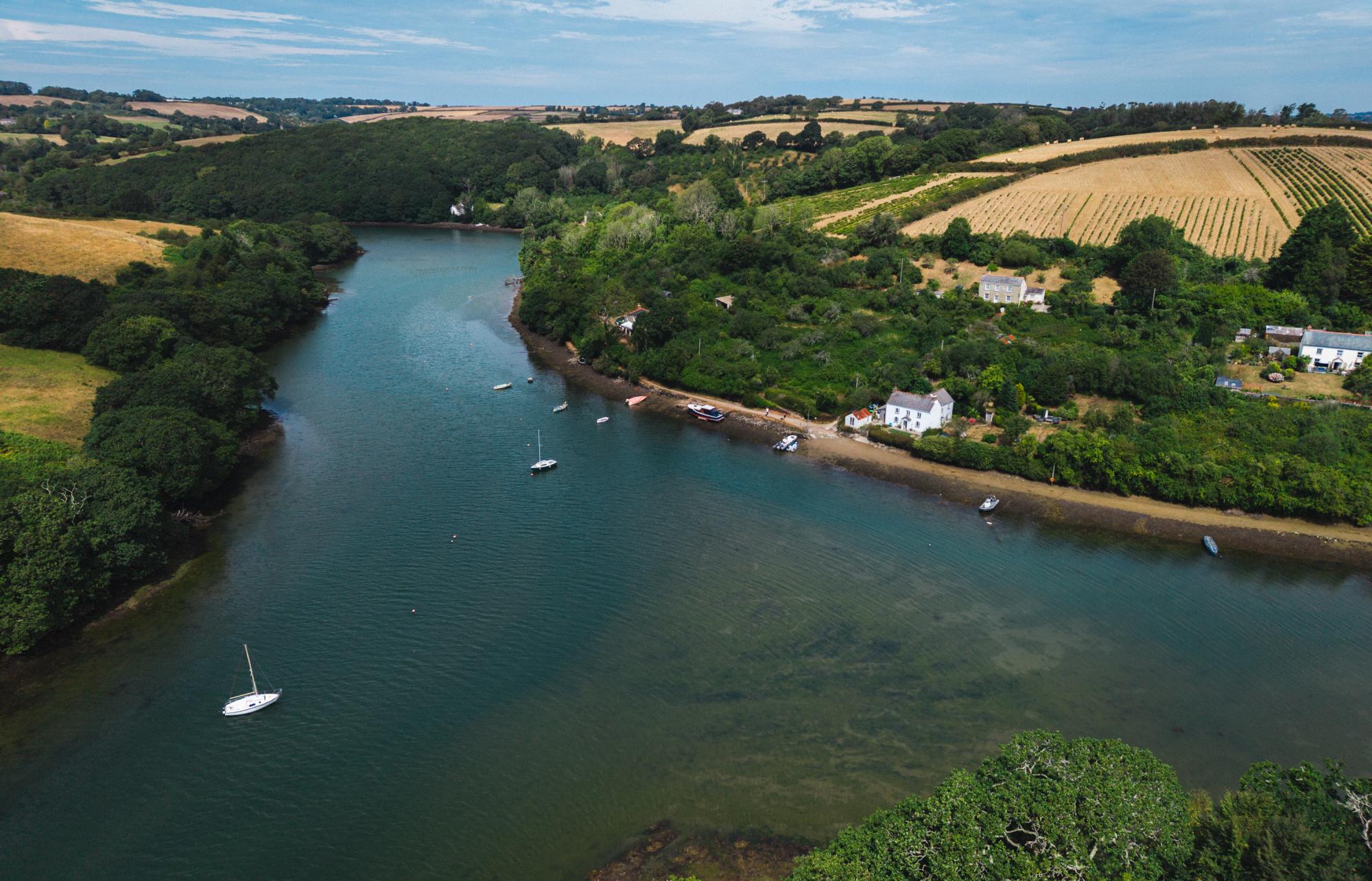 ‘It's the unseen pollution': how getting farmers, fishers and beavers together could save a Cornish river