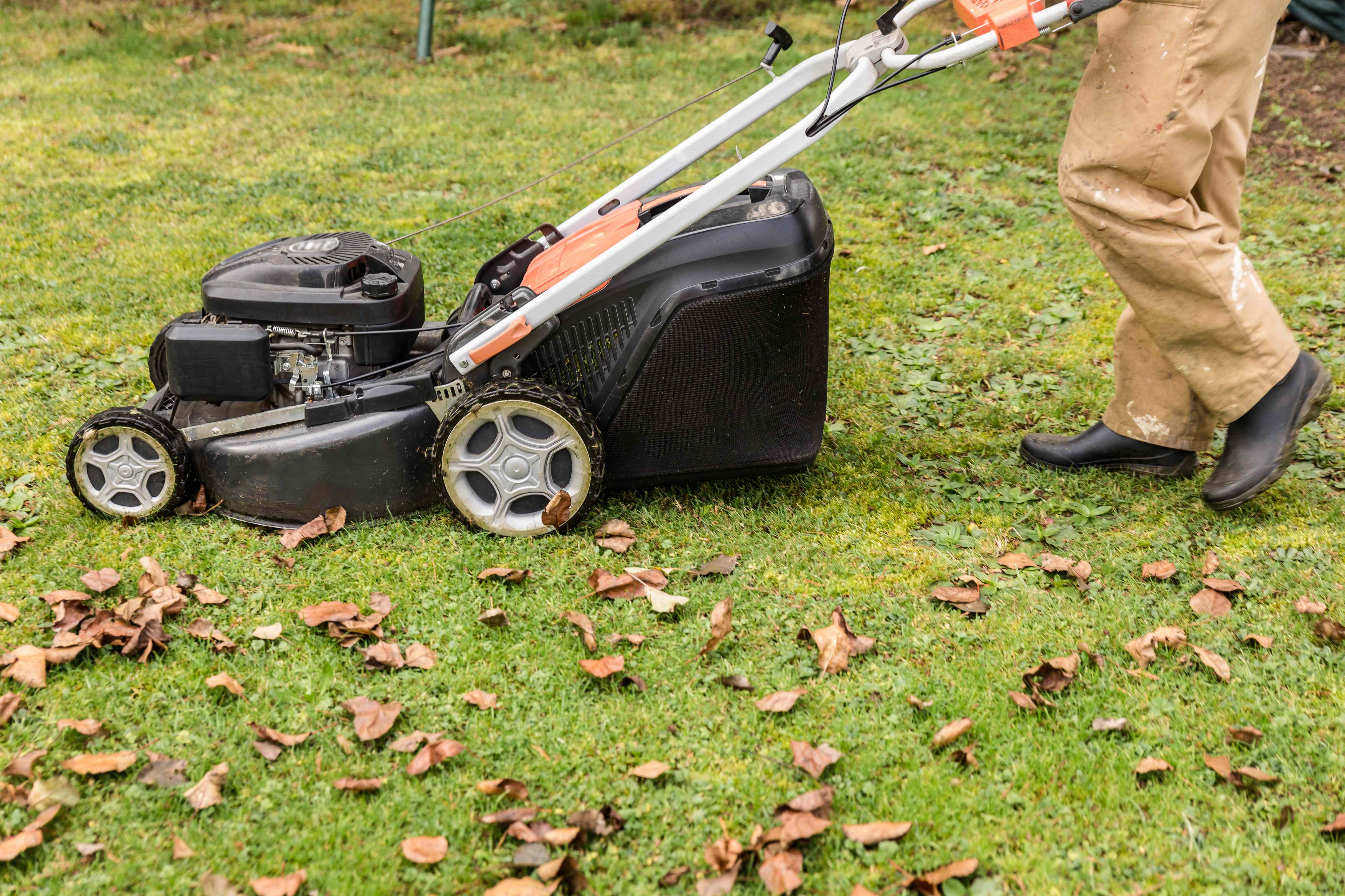 Mow or Overseed First? Turf Pros Explain Which Step Comes First for a Thicker, Healthier Lawn