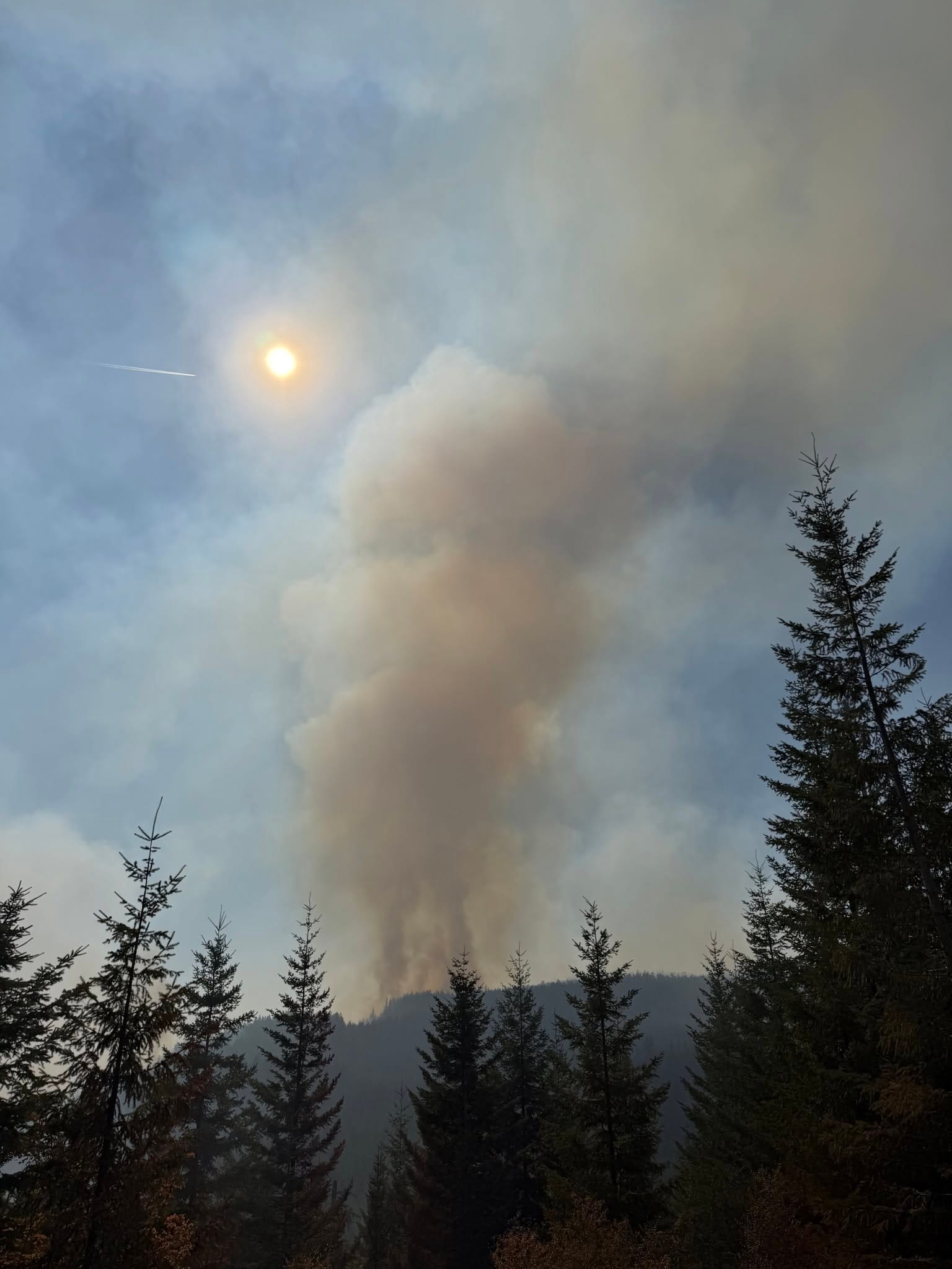 Austin Fire near Estacada grows, not threatening Bagby Hot Springs - AOL
